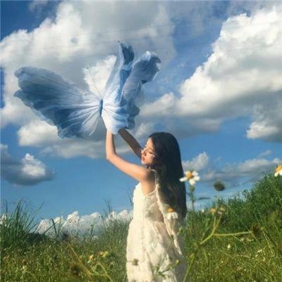 关于灰鸽子的歌